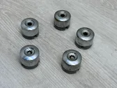 Wheel nut cap/cover