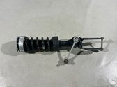 Front shock absorber with coil spring