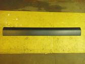 Fender trim (molding)