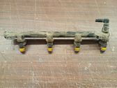 Fuel injectors set