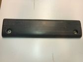 Rear door trim (molding)