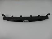 Front bumper upper radiator grill