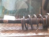 Front shock absorber with coil spring