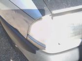 Front fender indicator light