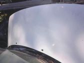 Engine bonnet/hood