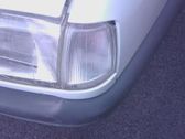 Front fender indicator light