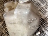 Coolant expansion tank/reservoir cap