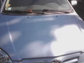 Engine bonnet/hood