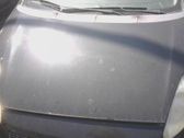 Engine bonnet/hood