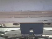Tailgate/trunk/boot lock/catch/latch
