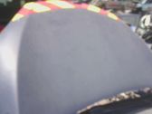 Motorhaube