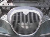 Grille de calandre avant