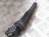 Zündspule Zündmodul