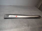 Front sill trim cover