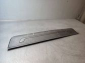 Front sill trim cover