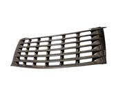 Front bumper upper radiator grill
