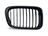 Atrapa chłodnicy / Grill
