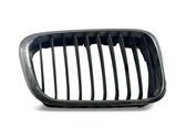 Atrapa chłodnicy / Grill