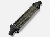 Intercooler radiator