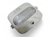 Headlining lighting console trim