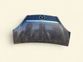Engine bonnet/hood