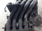 Ansaugbrücke Ansaugkrümmer