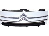 Front bumper upper radiator grill