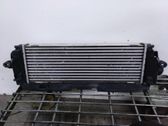 Radiador intercooler