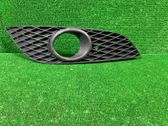Front fog light trim/grill
