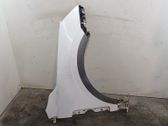 Fender