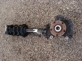 Front shock absorber with coil spring