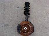 Front shock absorber with coil spring
