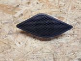 Front door high frequency speaker