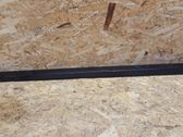 Front door trim (molding)
