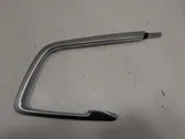 Other rear door trim element