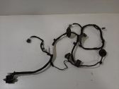 Rear door wiring loom