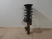 Front shock absorber with coil spring