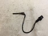 Exhaust gas temperature sensor