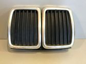 Kühlergrill