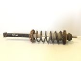 Rear shock absorber with coil spring