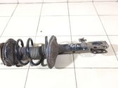 Front shock absorber with coil spring