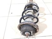 Front shock absorber with coil spring