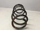 Front coil spring