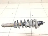 Rear shock absorber with coil spring