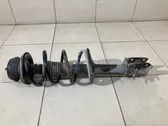 Front shock absorber with coil spring