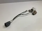 Tail light bulb cover holder