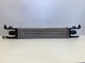 Radiador intercooler