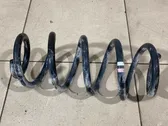 Front coil spring