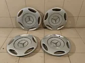 R 15 riteņa dekoratīvais disks (-i)