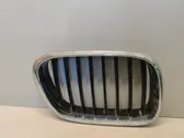 Front grill